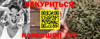 гашик Моздок