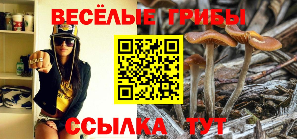 Псилоцибиновые грибы мухоморы  Вход с VPN  Туймазы 